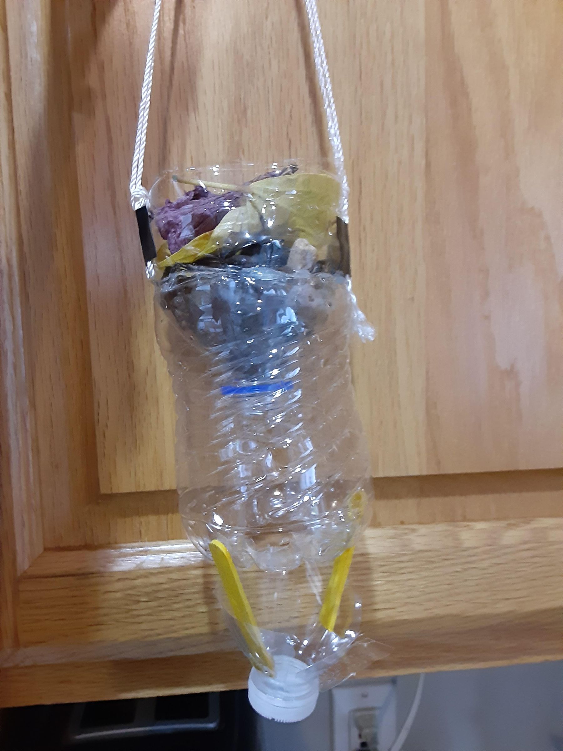 Reduce, Reuse, Recycle Bird Feeder : 5 Steps - Instructables