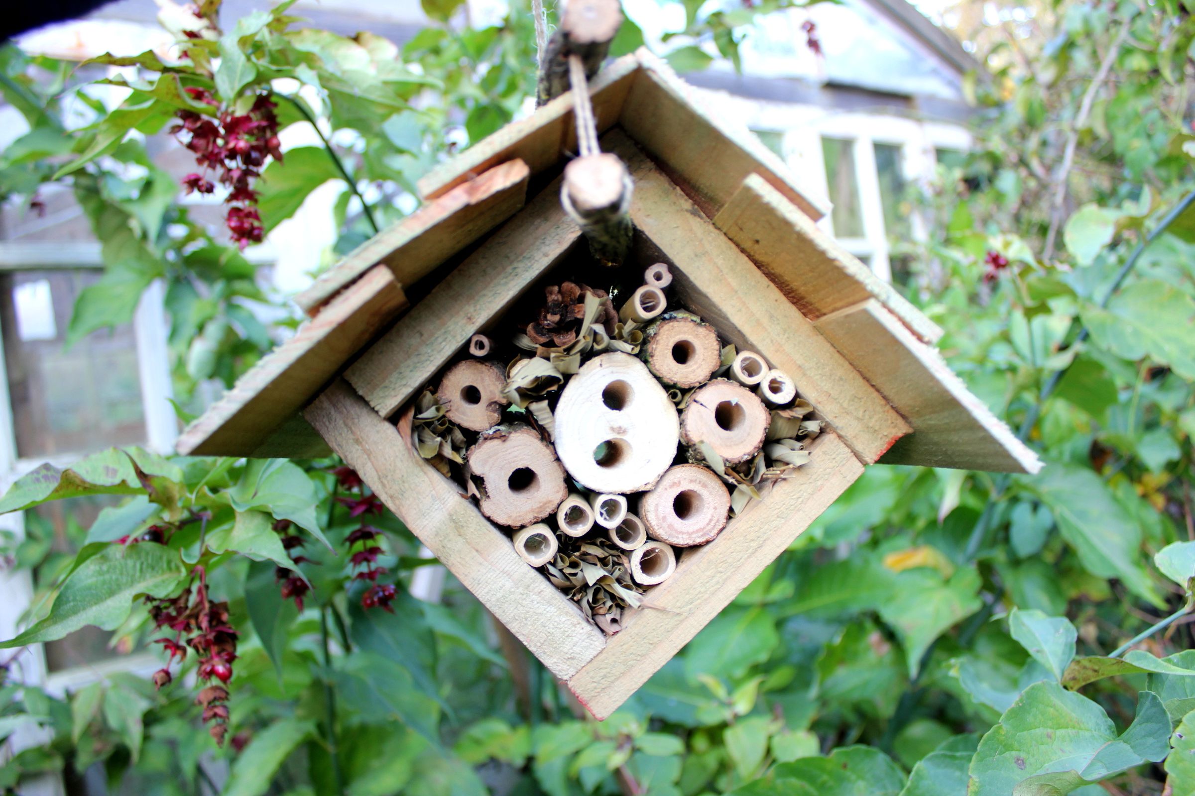 Home-made Insect Hotel. Part 2 - Suspended Eco Lodge for Hibernation. Hotel a Insectes Suspendu.