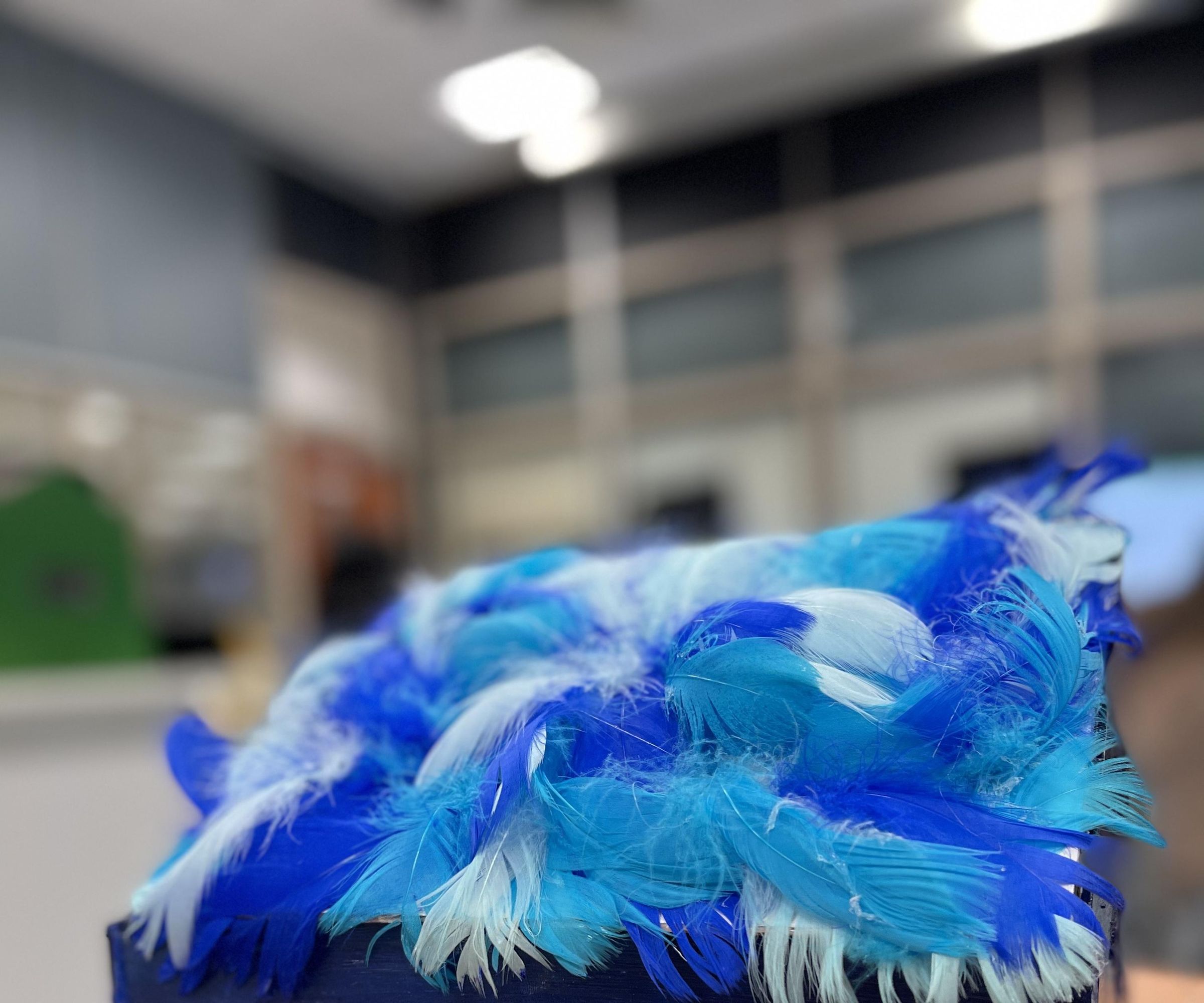 Bali Mynah Nature Sound [Magnetic Switch]