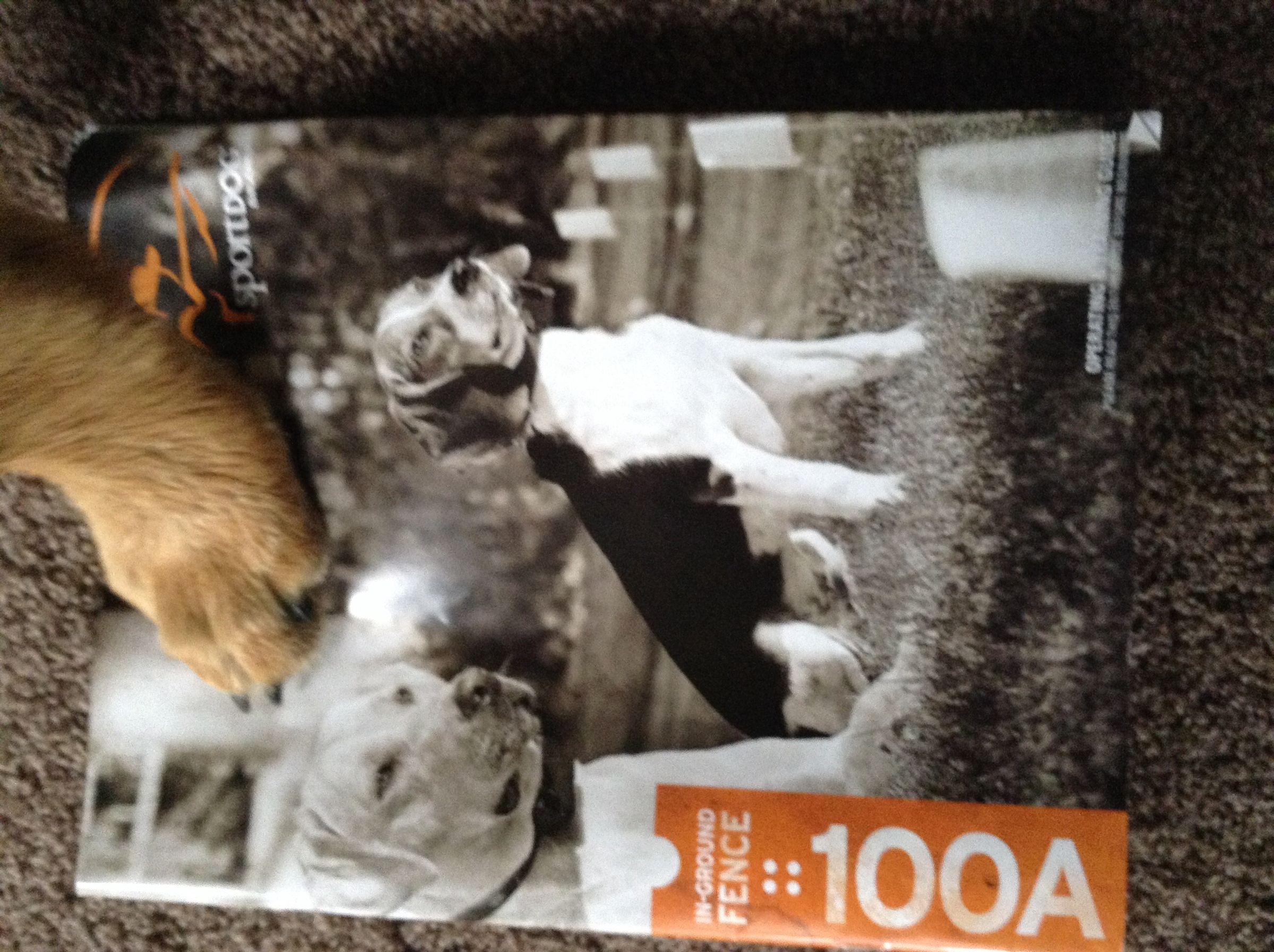 Install an Underground Fence 4 Steps Instructables