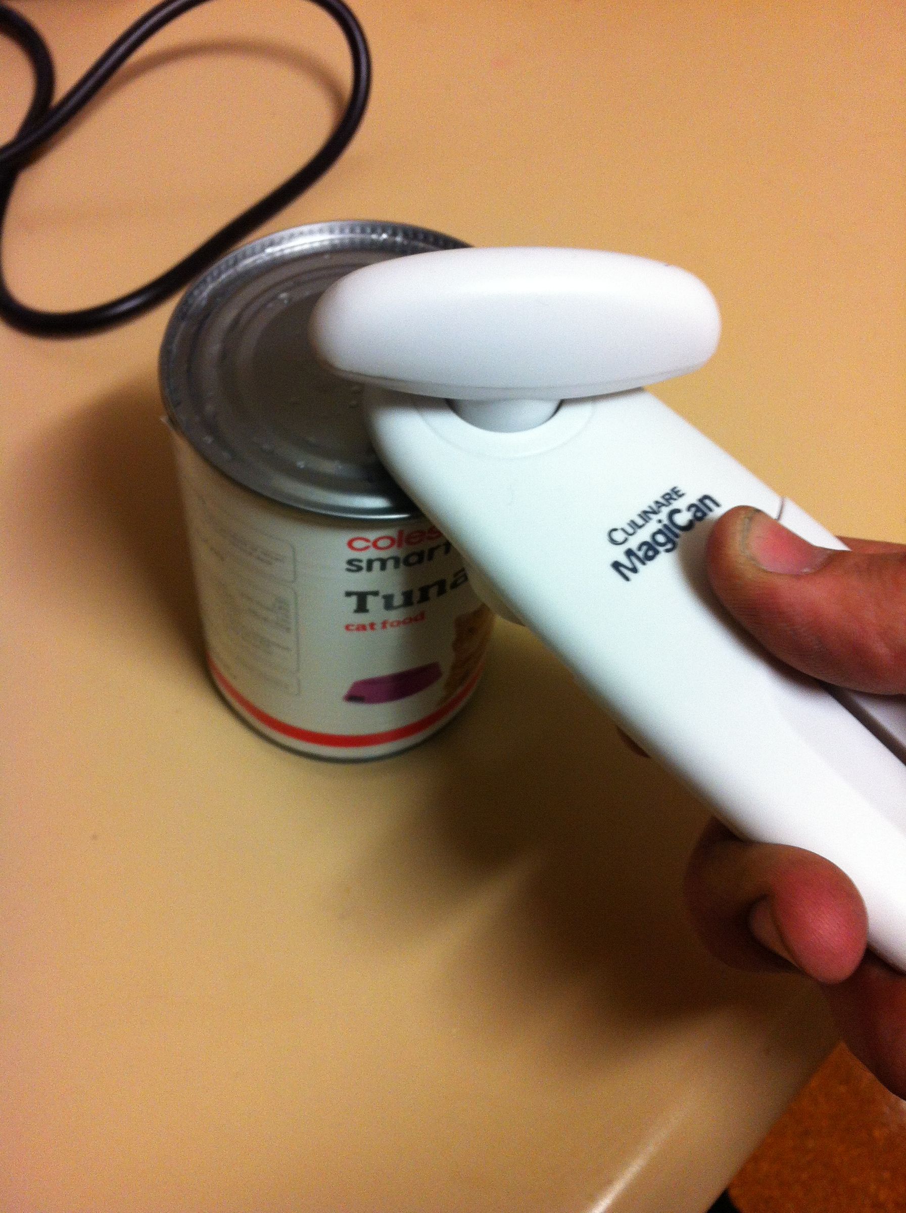 Makeshift Food Can Lid