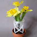 Deep Watering Plant Cage