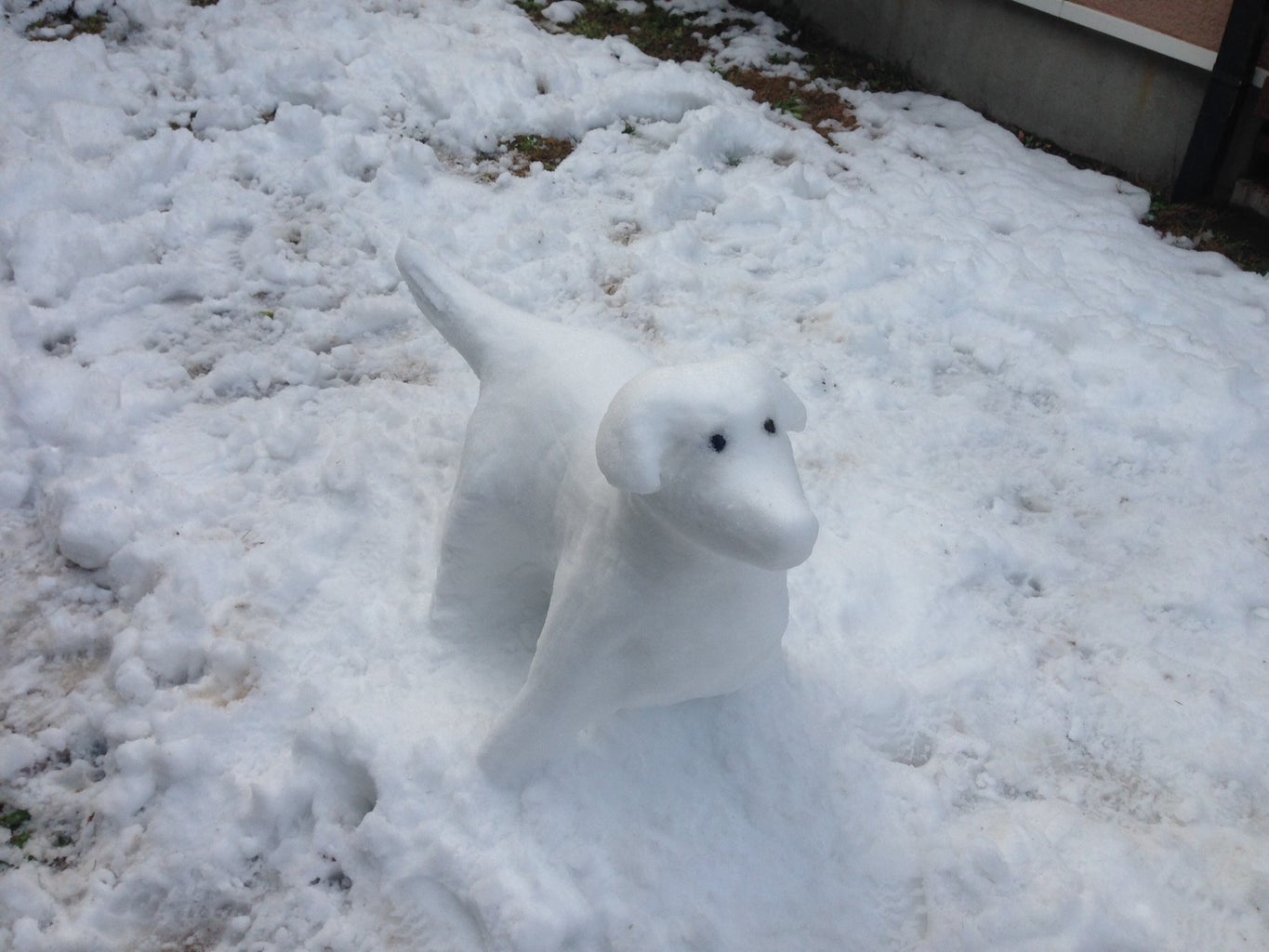 How to Make a Snow Dog Sculpture 3 Steps Instructables