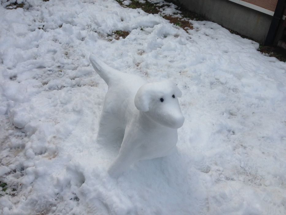 How to Make a Snow Dog Sculpture : 3 Steps - Instructables