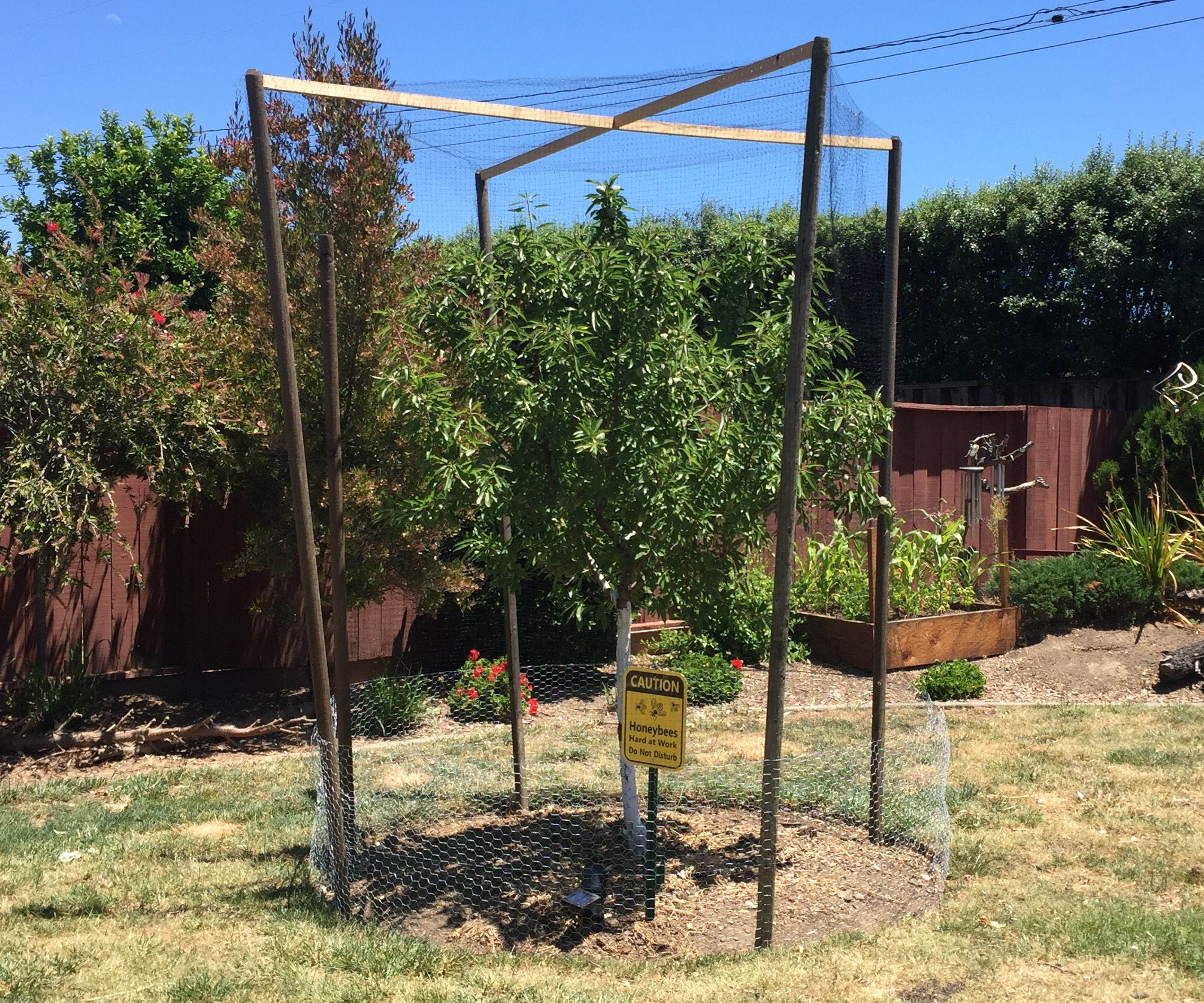 Fruit Tree Cage