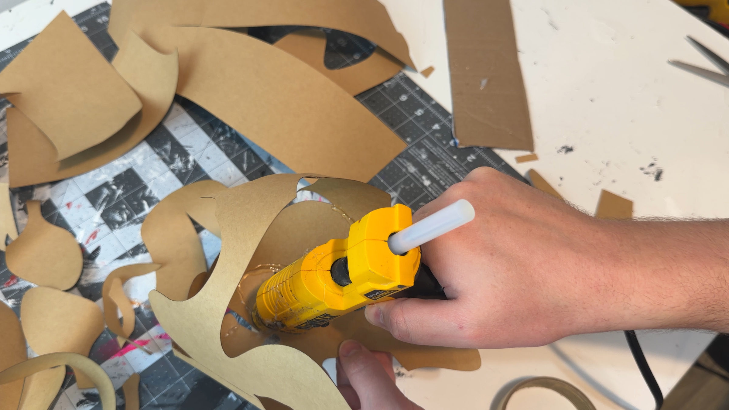 Mask Assembly
