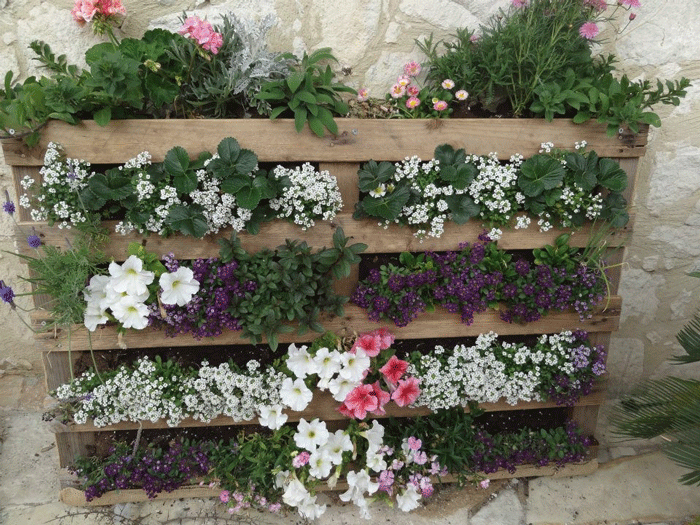 How to Make a Pallet Garden