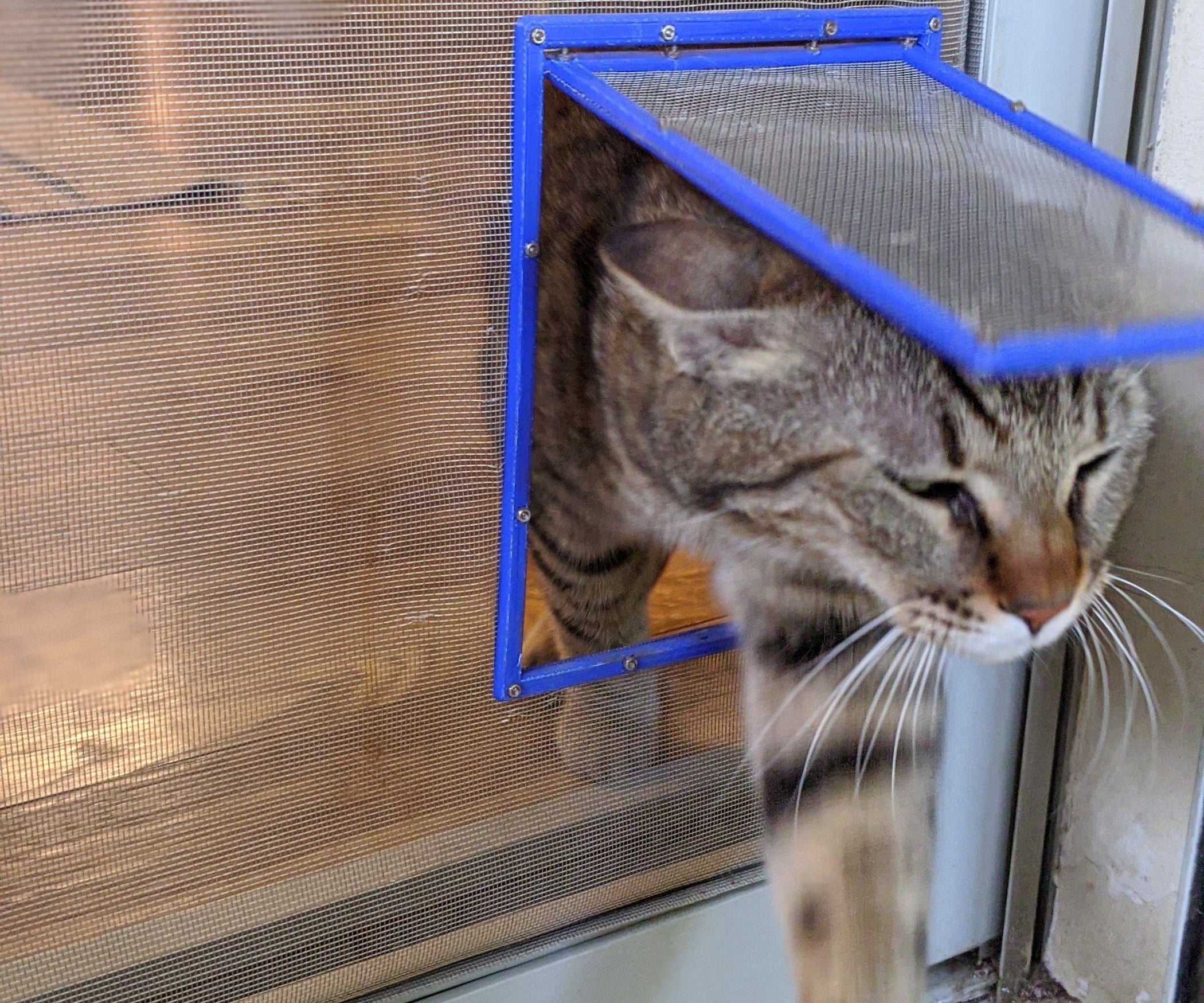 Simple Screen Net Cat Door Instructables