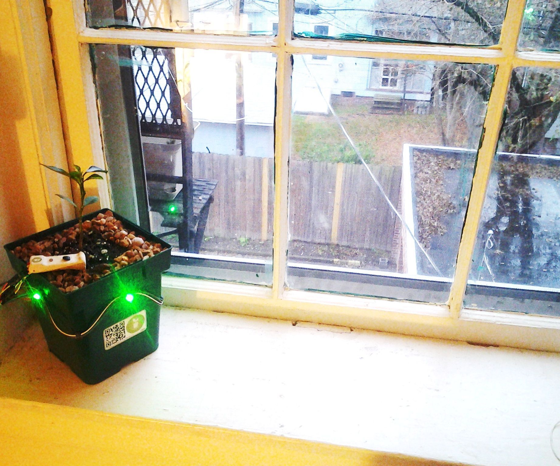 Glow-a-Pot