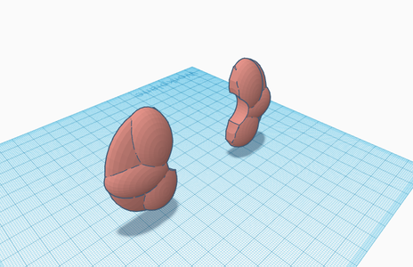 Duplicating the Kidney