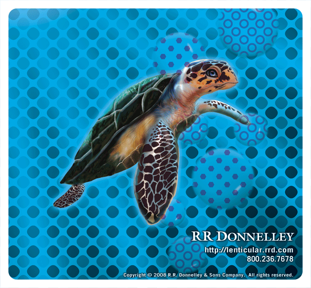 Building 3D Lenticular Files