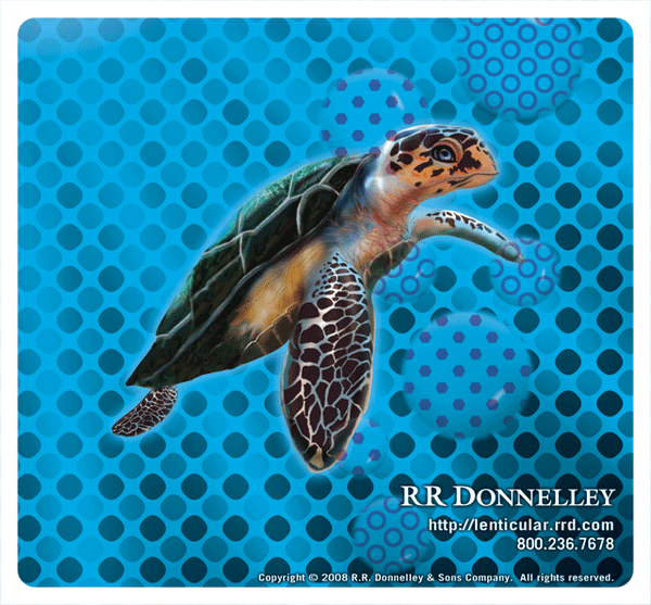 Building 3D Lenticular Files