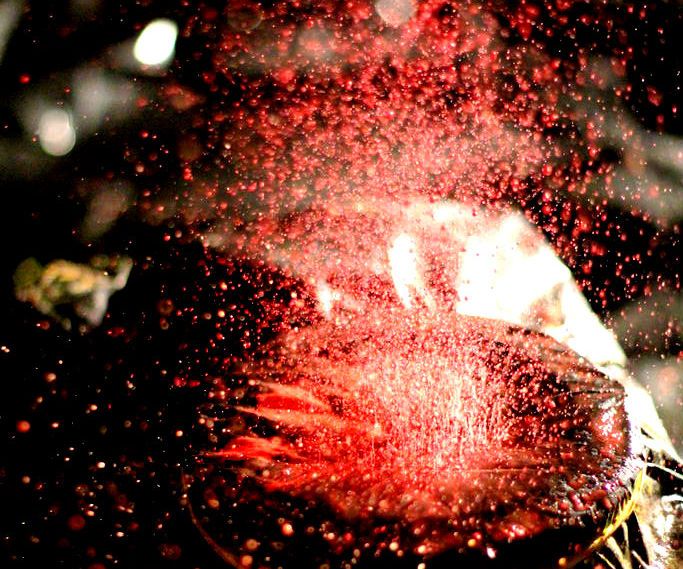 Photographing Dancing Paint for CHEAP!!! 