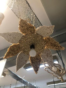 Smart Light Bio-Material