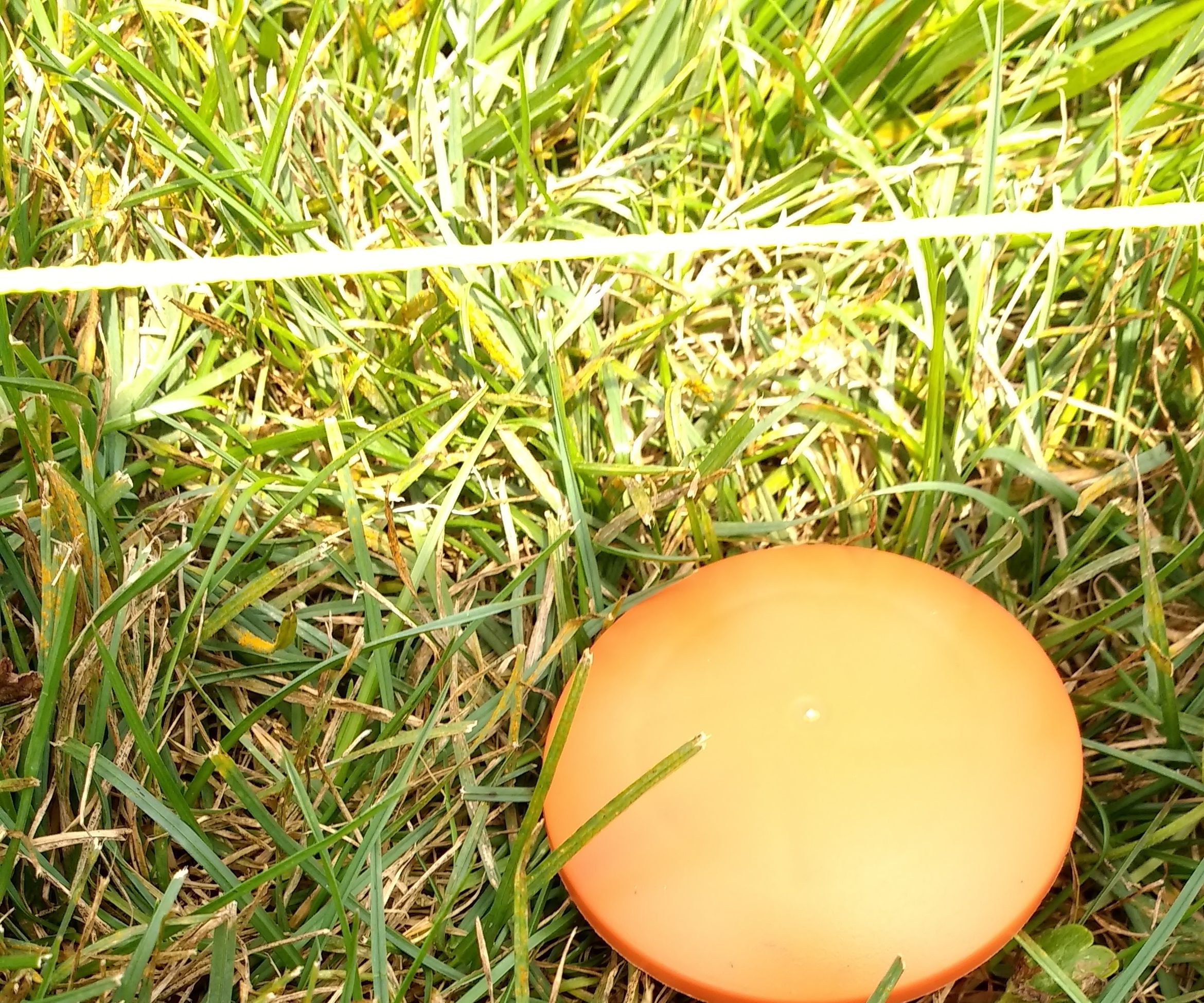 Easy to Locate Lot Line Markers