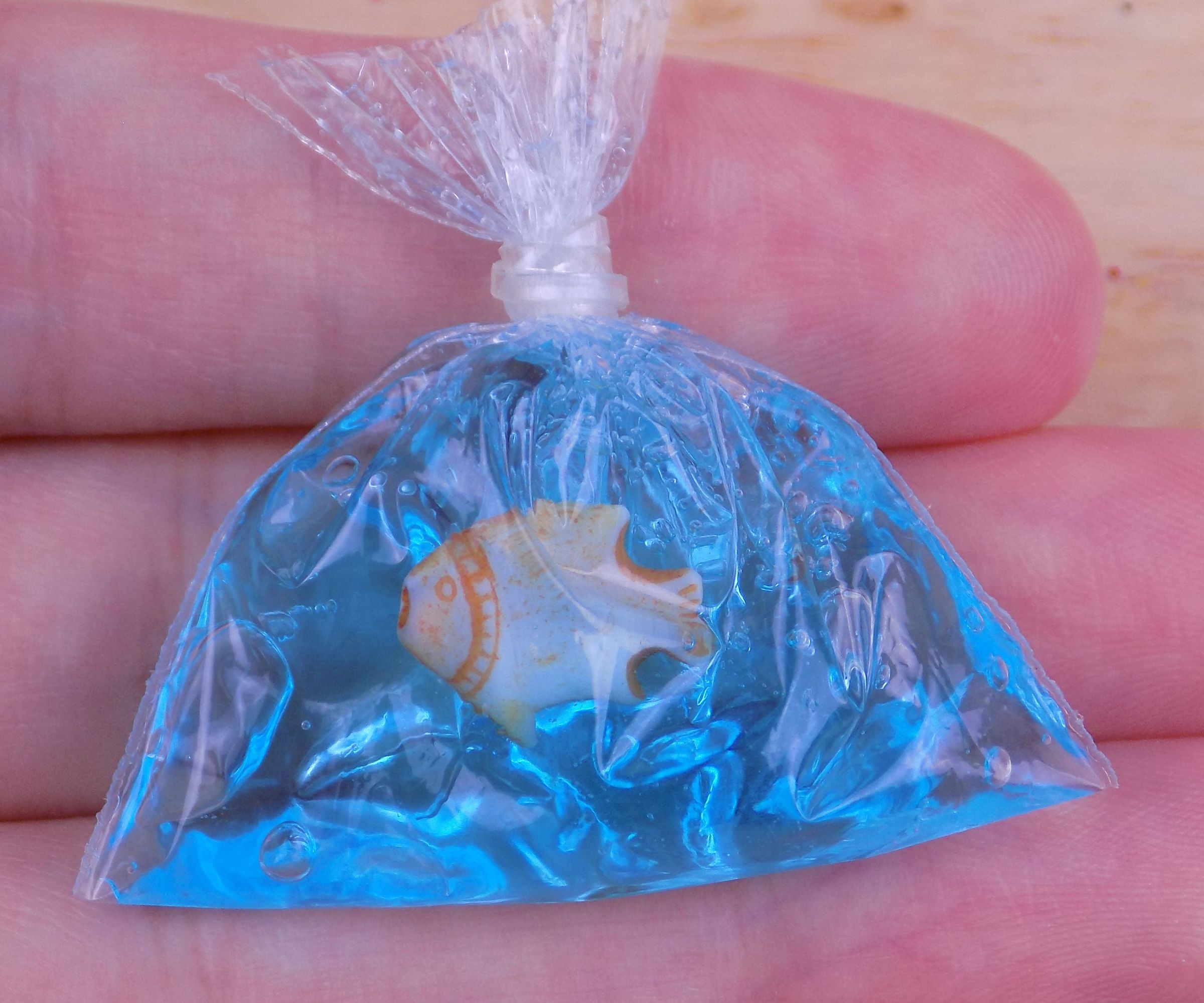 Diy Miniature Fish in a Bag