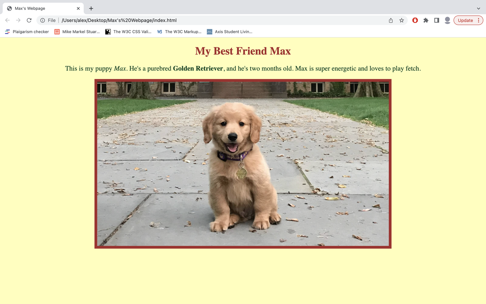 Designing a Simple Webpage Using HTML and CSS : 10 Steps - Instructables