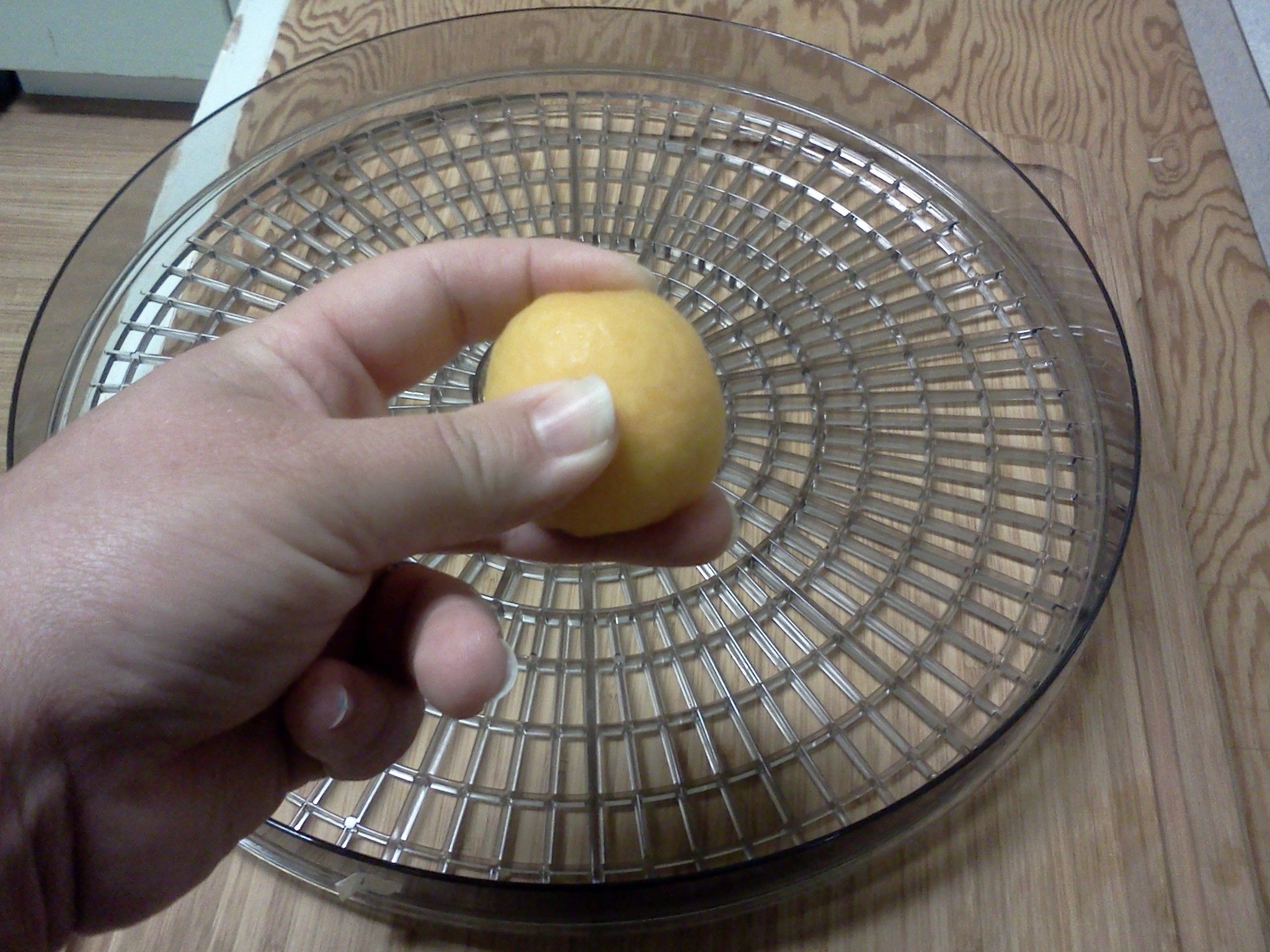 Dehydrating Apricots 4 Steps (with Pictures) Instructables
