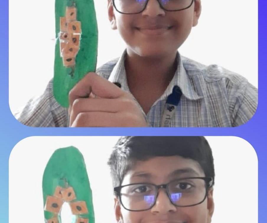 Working Stomata Model