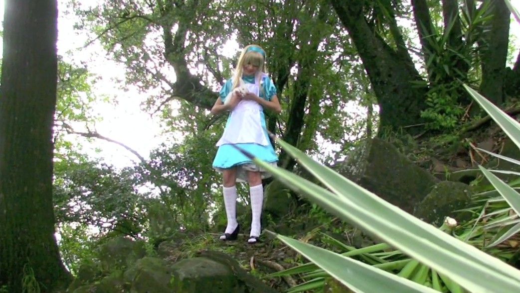 Alice in Wonderland Costume