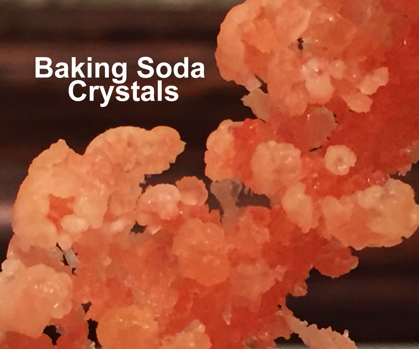 Baking Soda Crystals