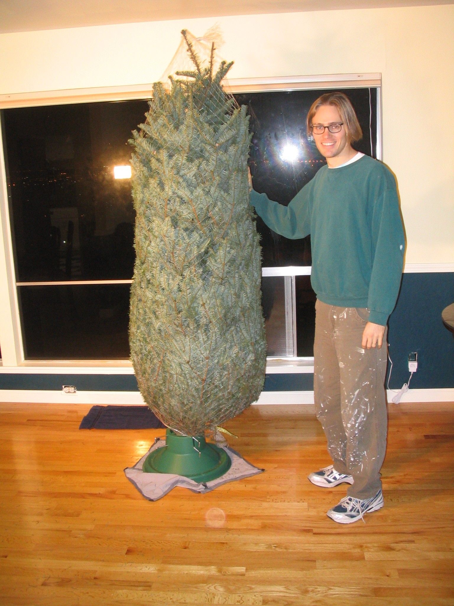 Computercontrolled Musicsynchronized Flashing Christmas Tree Lights