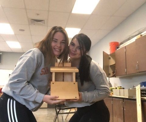 Building a Bird House 