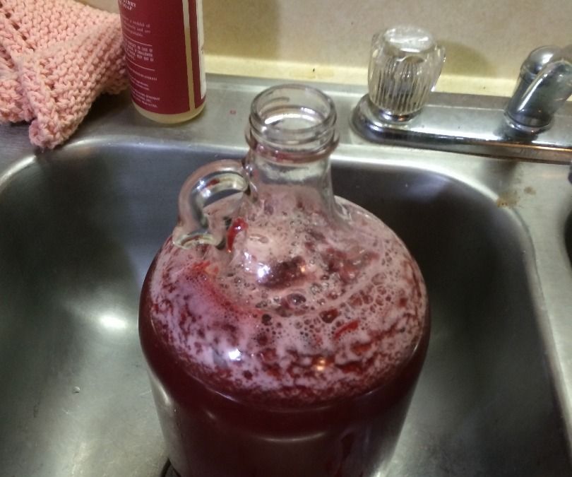 1 Gallon Batch of Cherry Mead (Cherry Melomel)