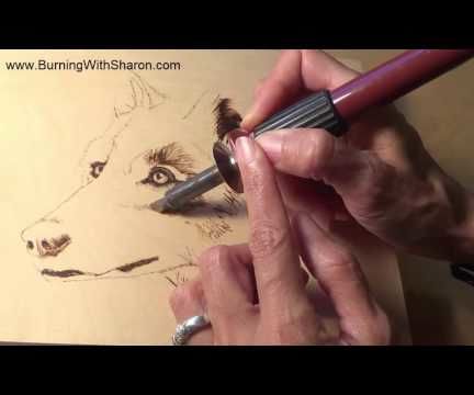  Pyrography: How to Choose Pens for Burning Wolf Fur