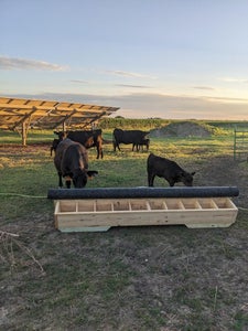 Supplementing Your Livestock's Diet