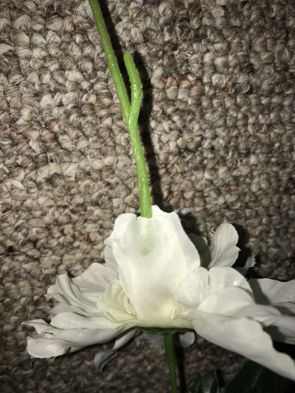 Glue