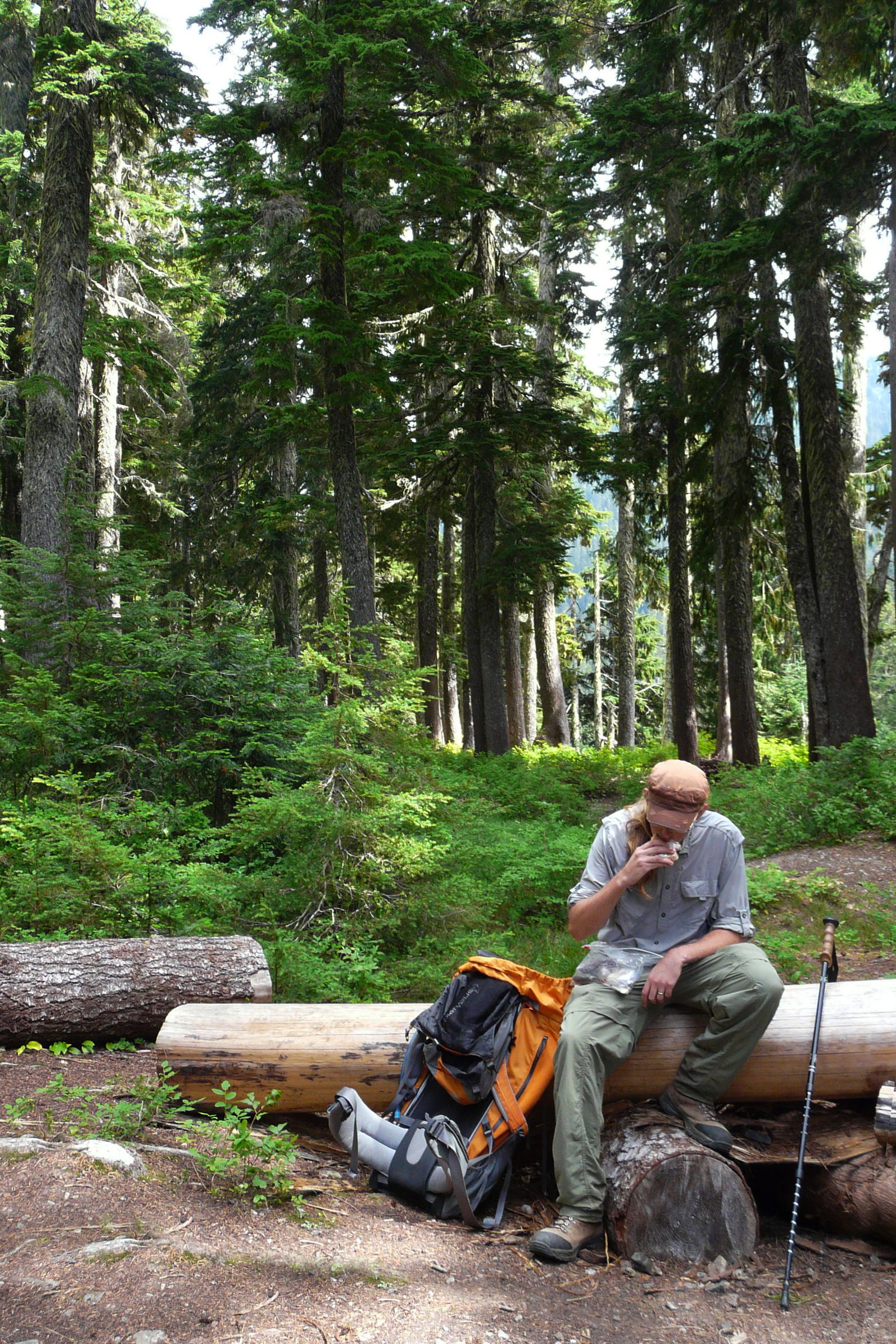 Backpacking Food Bars 3.3