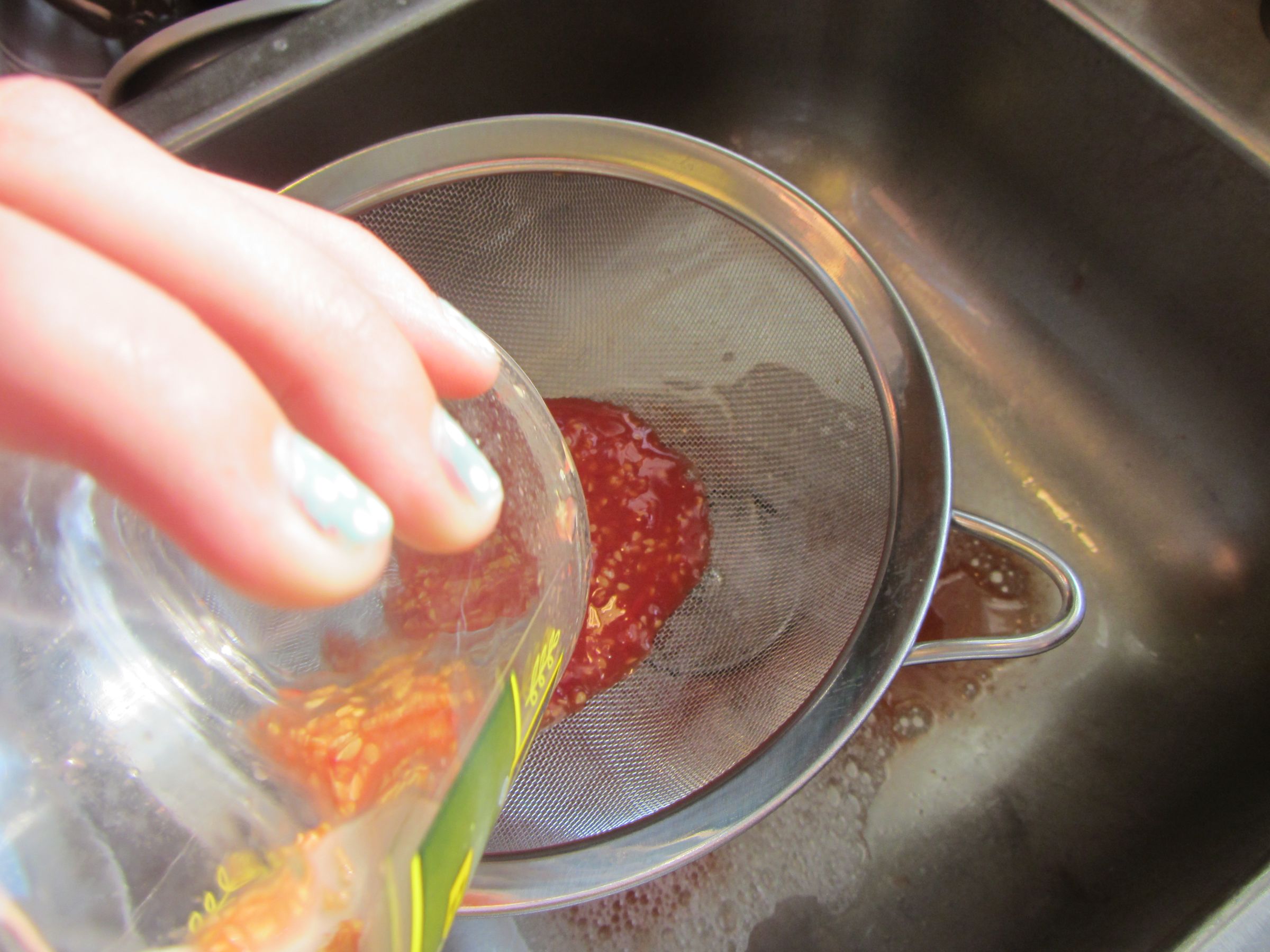 How to Ferment and Collect Tomato Seeds 6 Steps Instructables