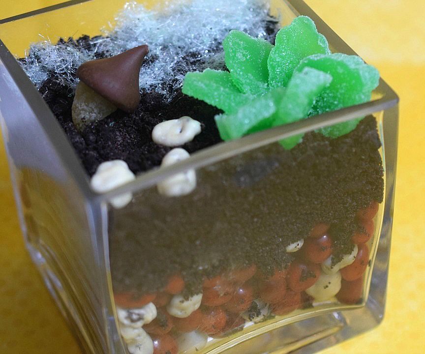 DIY Edible Terrarium