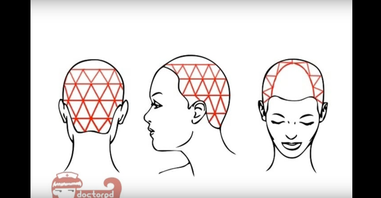 How to Section Your Hair for Braids and Dreadlocks : 3 Steps ...
