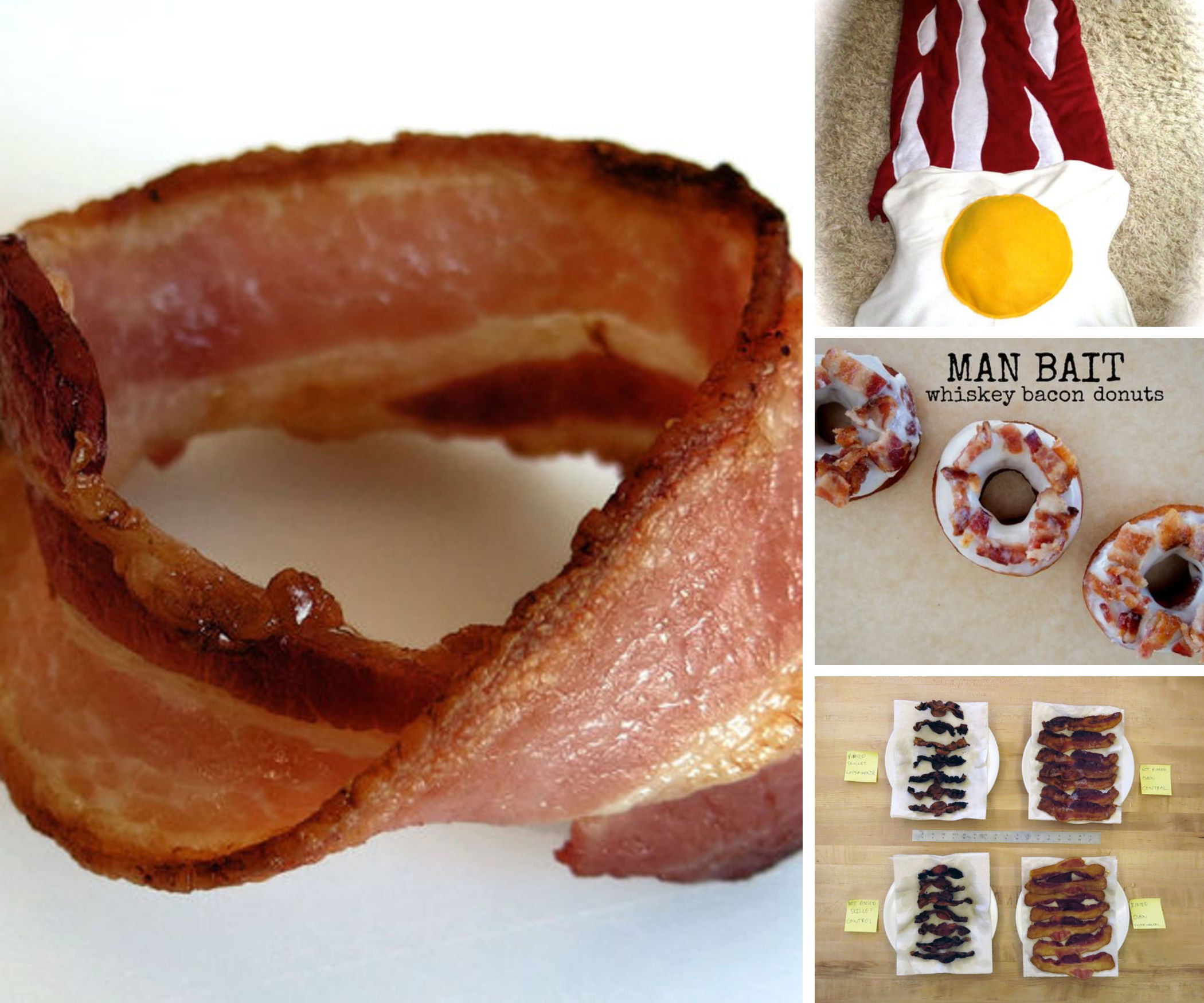 Bacon All the Things Instructables