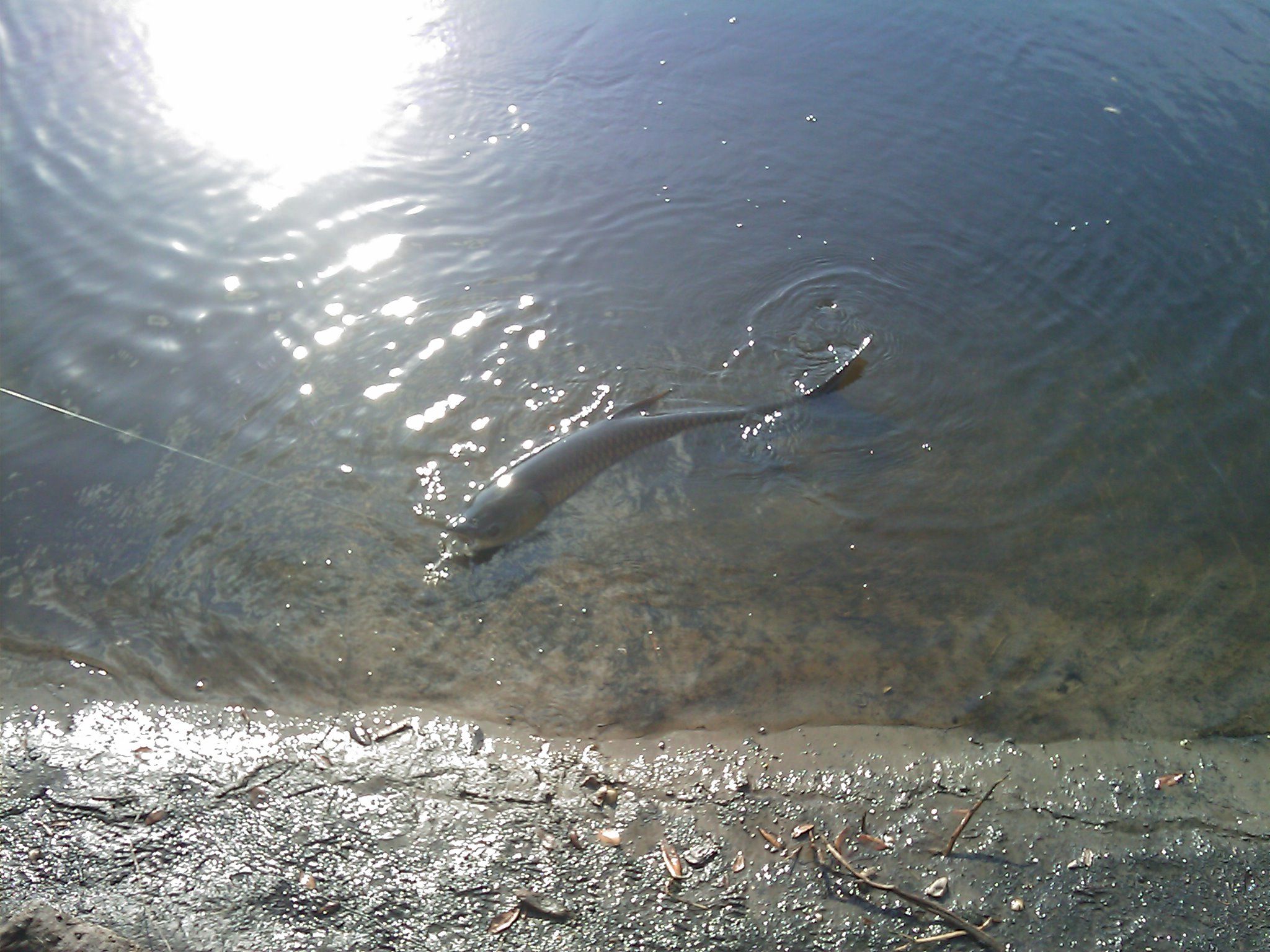 Guide to Fresh Water Tackle