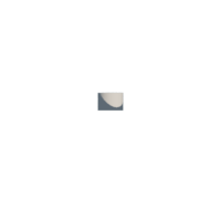 download {{ file.name }}