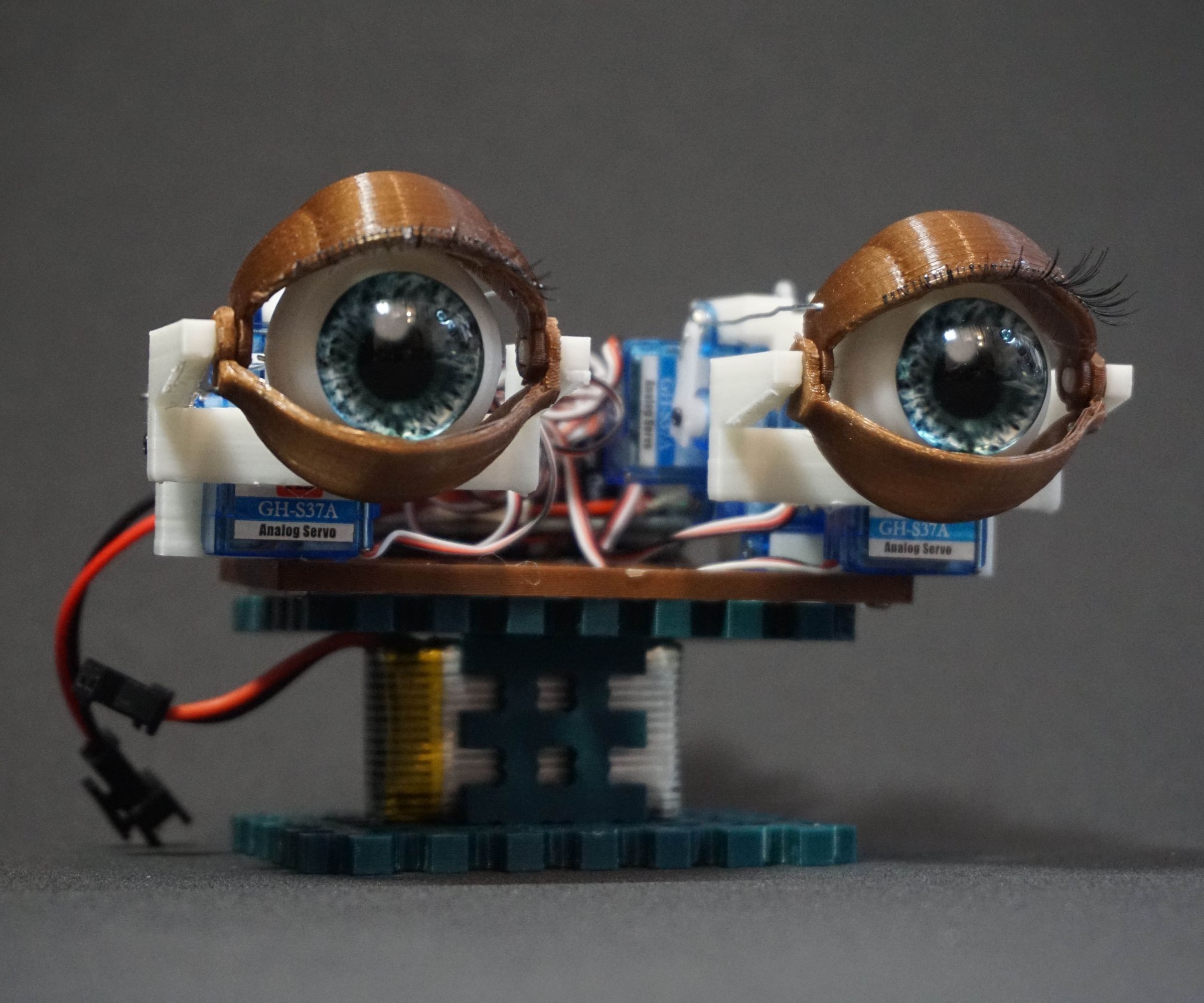 Animatronic Eyes With Remote Control