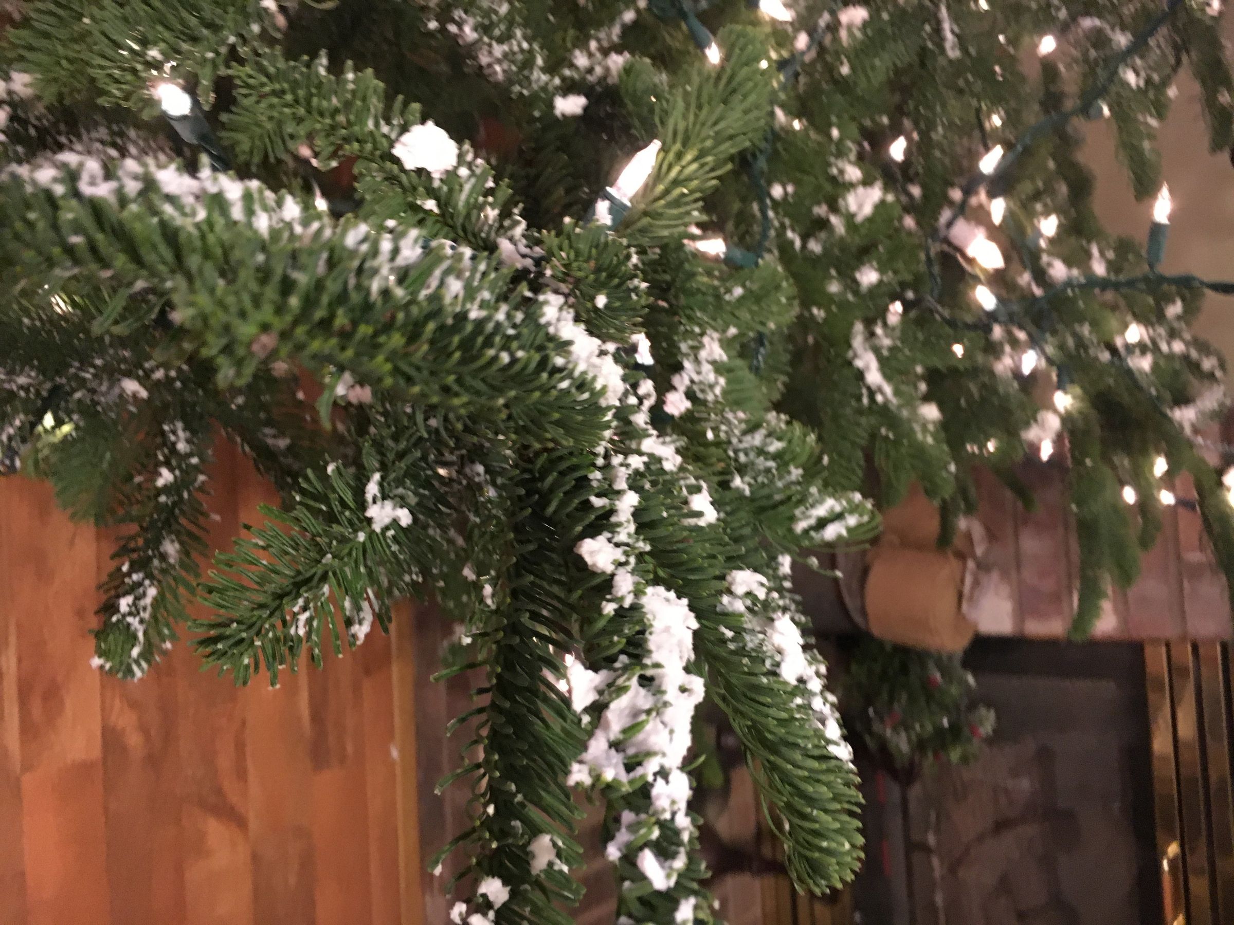 Snow Flocking Christmas Tree's 4 Steps (with Pictures) Instructables