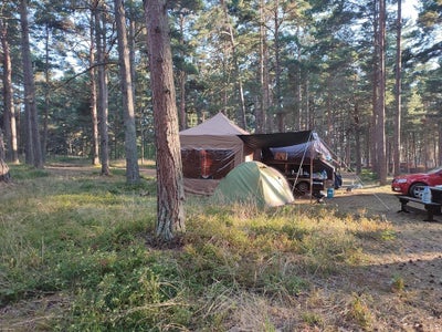 The Adventure Trailer in the Wild