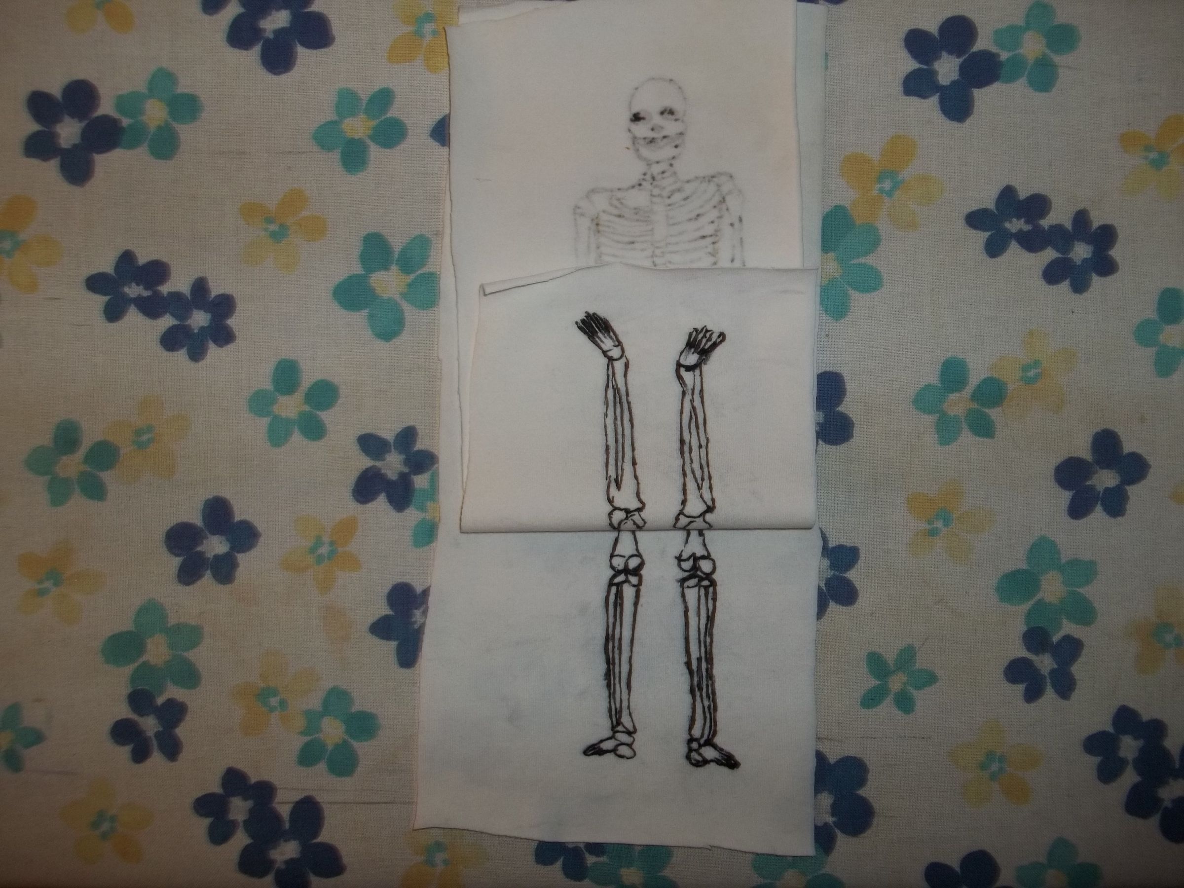Model of the Human Skeleton : 4 Steps - Instructables