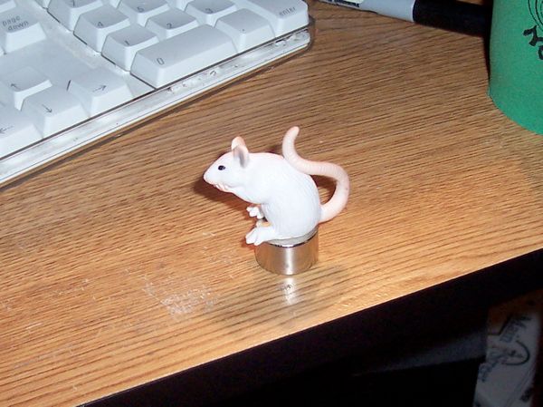 DIY Hood Ornament