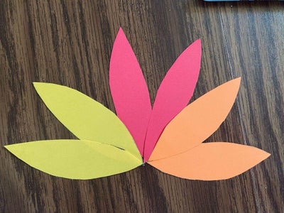 Cut Out Turkey Feathers