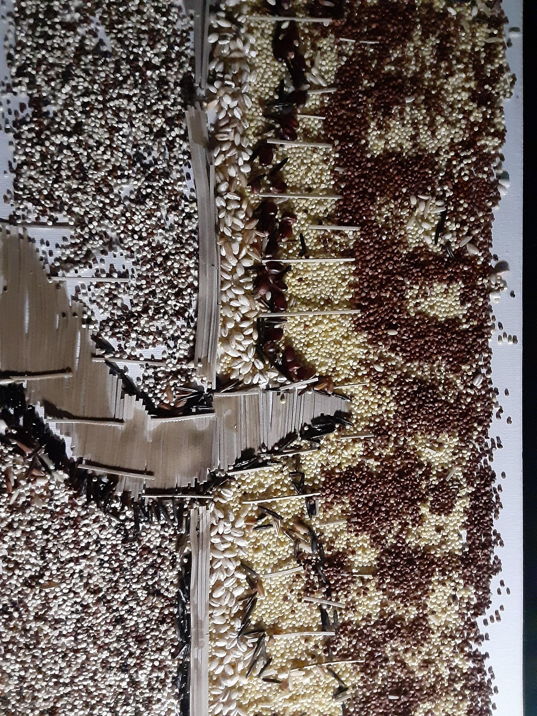 Grains and Rice Art Instructables