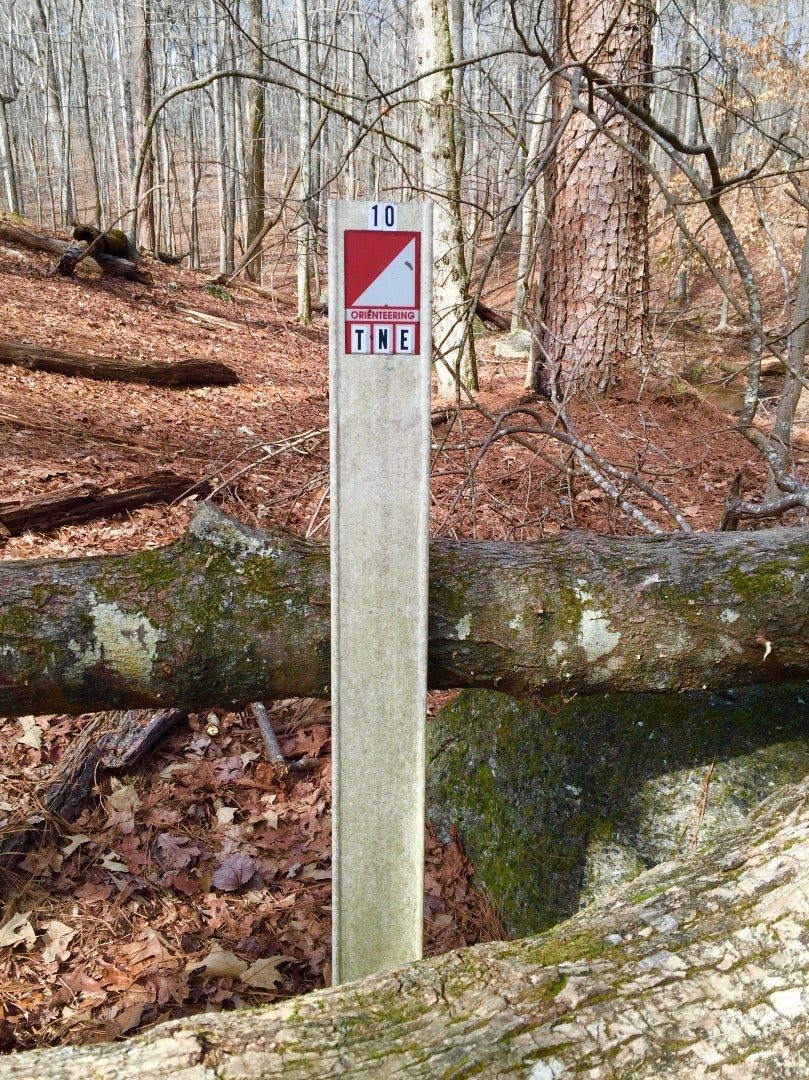 The Map and Controls 