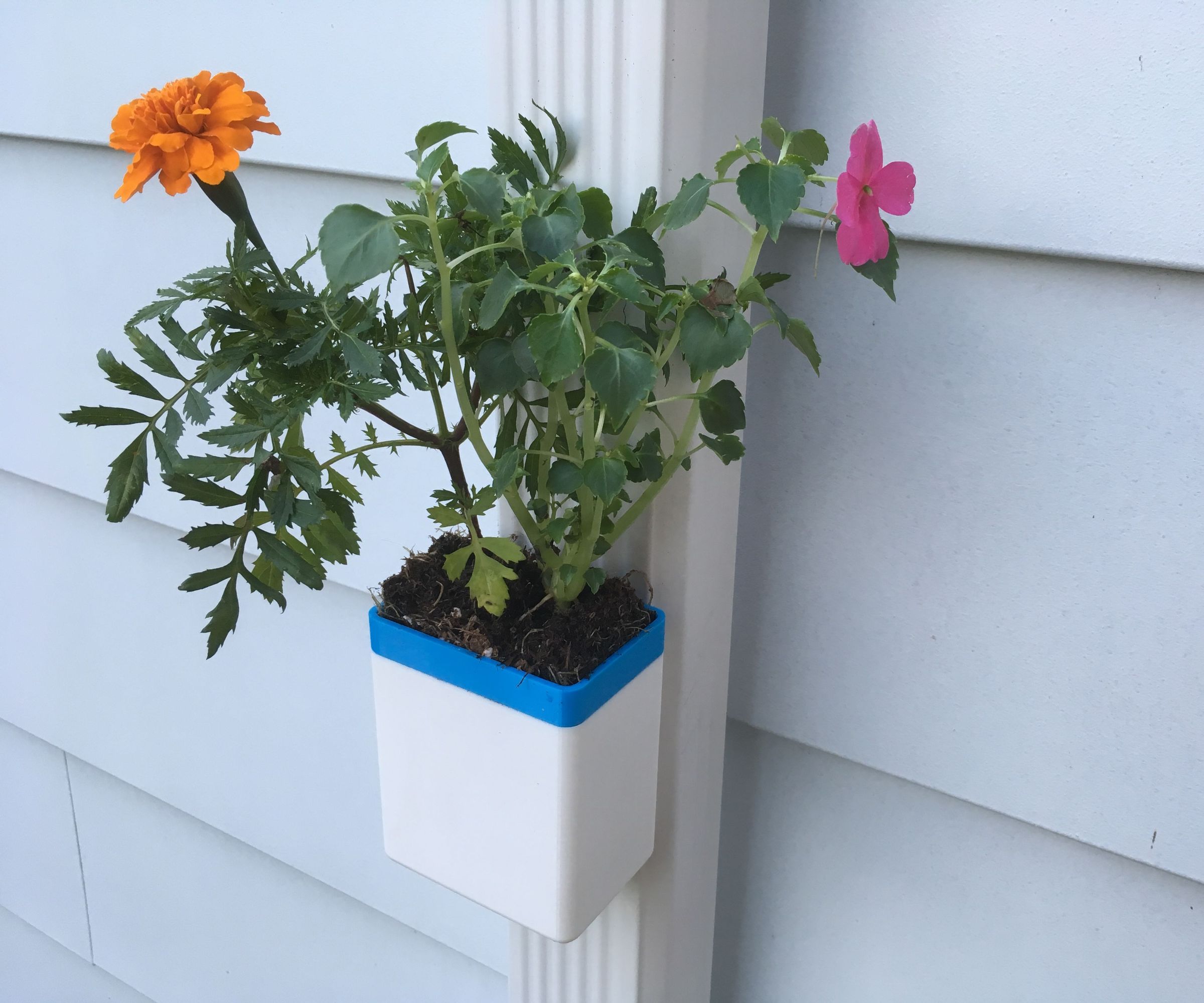 Self-watering Downspout Planter