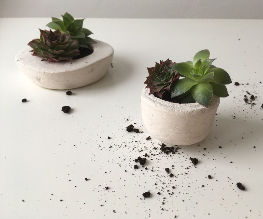 How to Make Concrete Planters