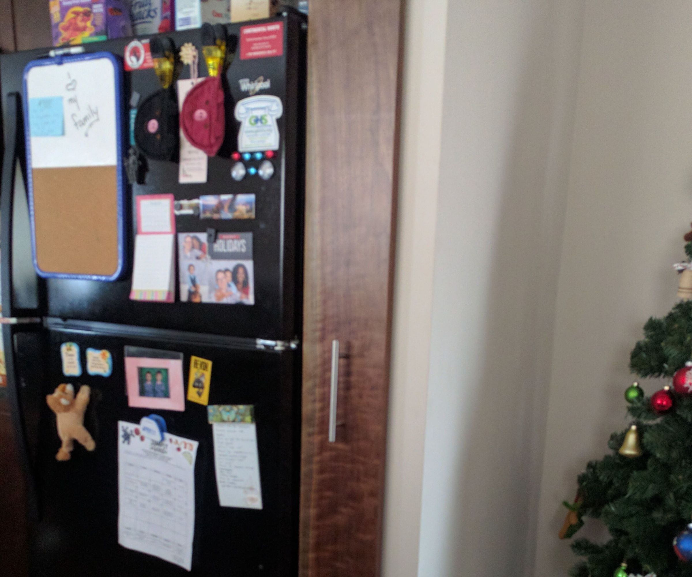 Pull Out Between Wall and Refrigerator.