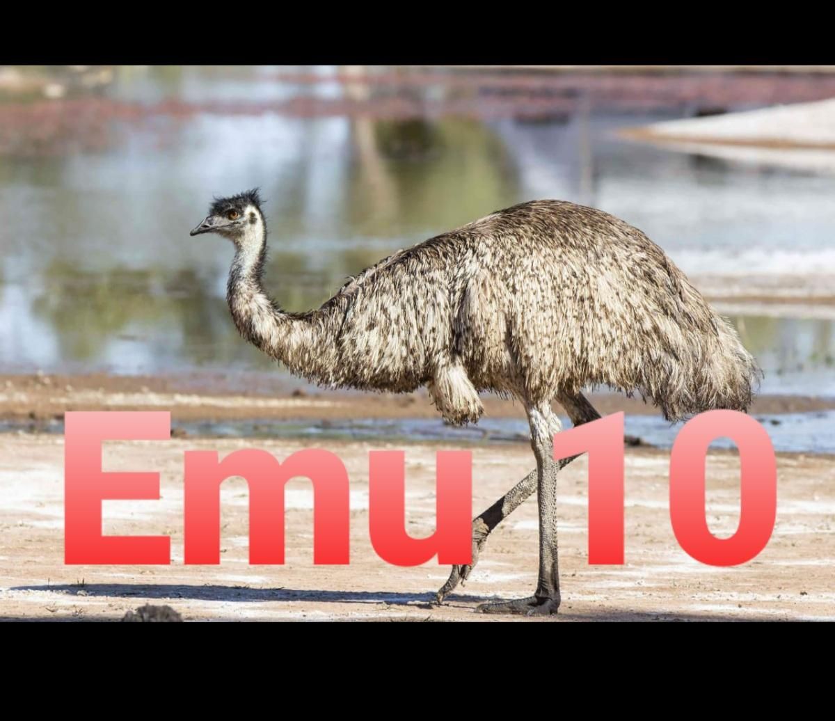 Emu10